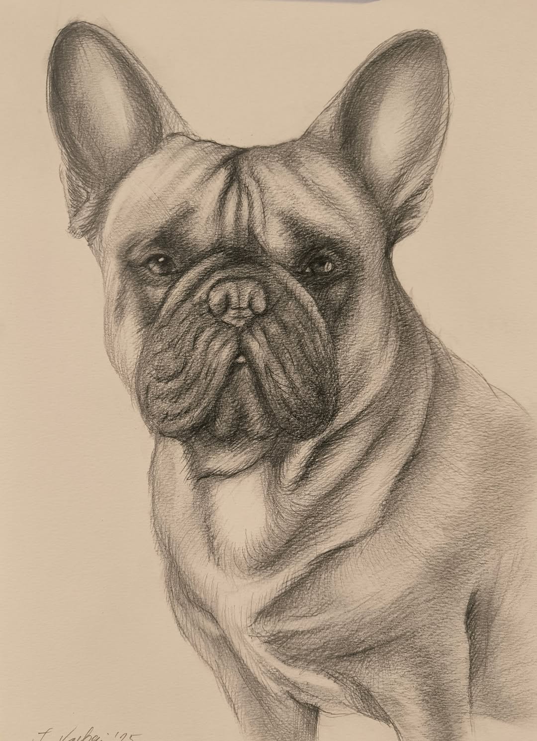 Handgezeichnetes französisches Bulldog Portrait