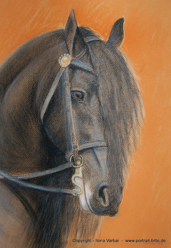 Pastellportrait eines schwarzen Pferdes vor warmem orangefarbenem Hintergrund